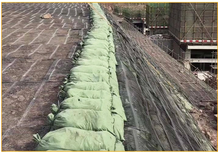 Concrete Grass Pavers/Geomembrance/Geocell/Geotextile/Cement Blanket/Plastic Product/Wall Protection Systems/Distributor HDPE Uniaxial Stretch Geogrid