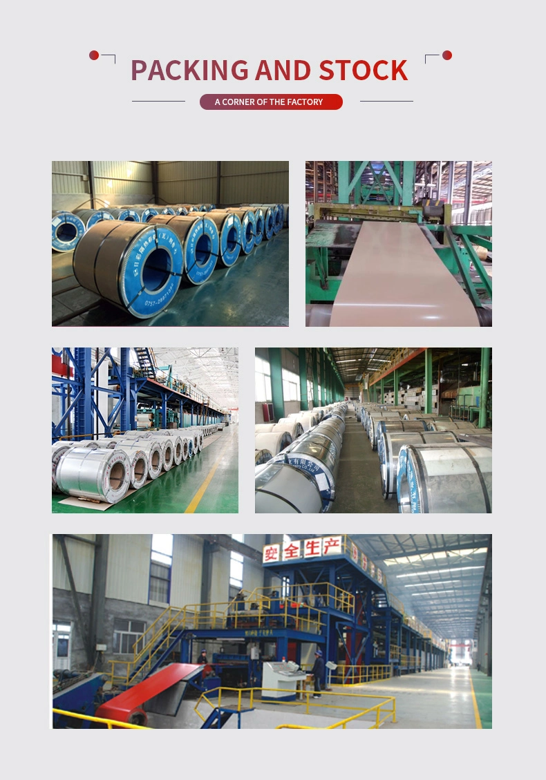 Ral 1013 1015 PPGI PPGL 0.48mm Color Coated Gi Steel Coil PPGI Coils Prepainted Galvanized Sheet Price Manufacturer PPGI in Coil