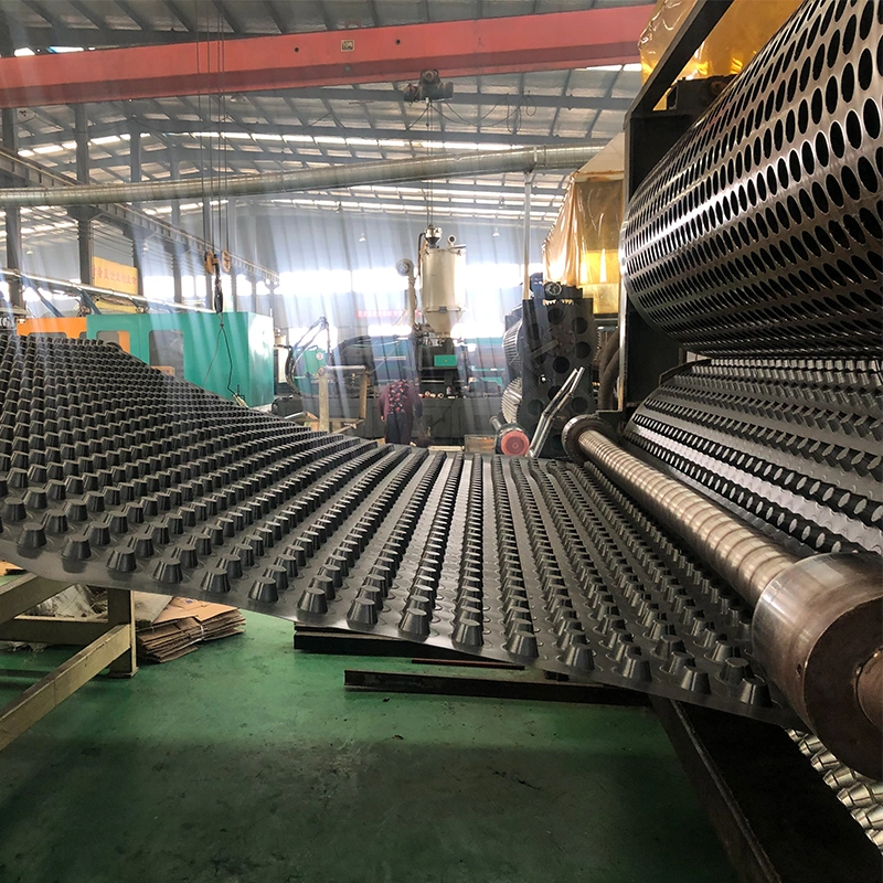 Dajin Factory HDPE Drainage Board Drainage Cell in Pakistan