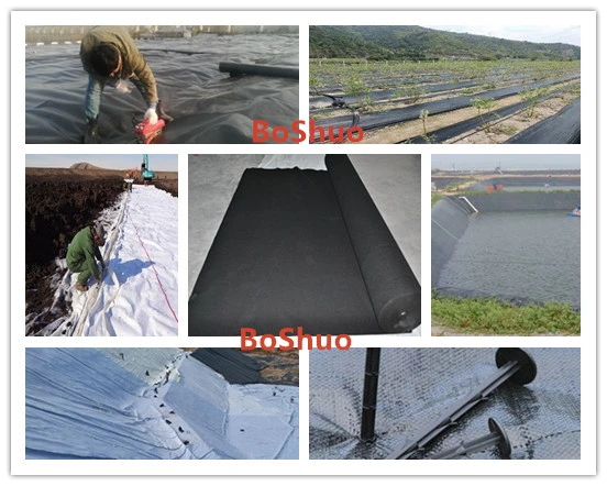 Best Selling Export PP Polyropylene Geotextile for Road Reinforcement