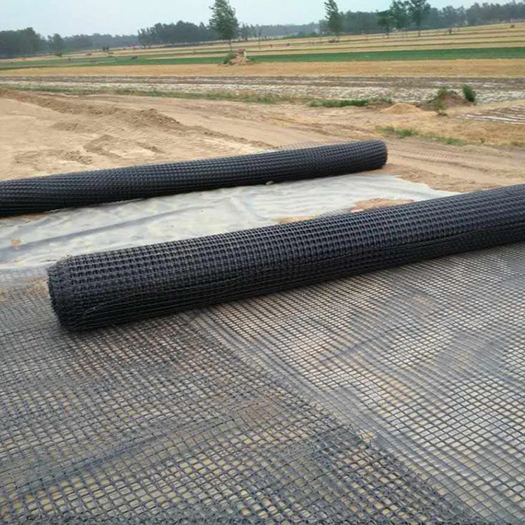 Slope Protection High Tensile Steel Plastic Composite Geogrid Biaxial Geogrid Price