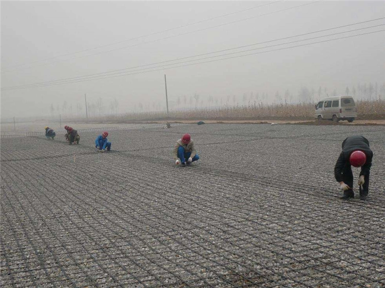 Road Construction Material Geogrid Soil Reinforcement for Wall