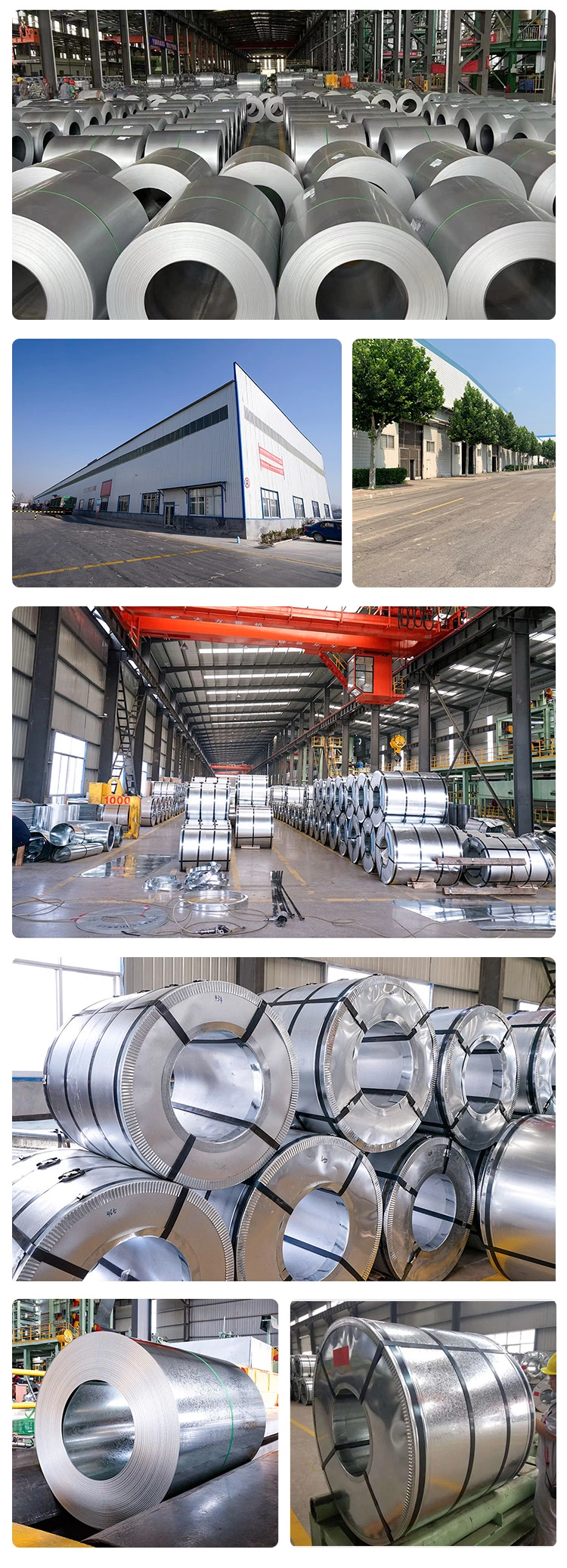 Building Material Z30 Z40 Z50 Galvanized Steel Coil Gi Steel