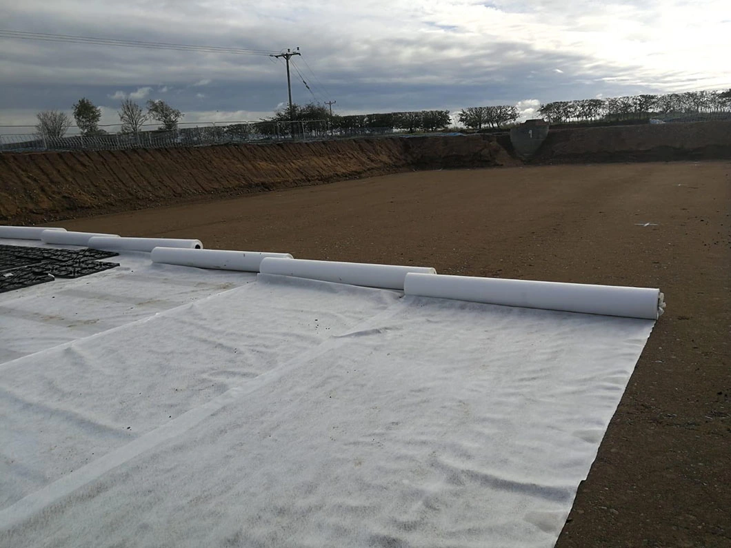 PP/Pet Nonwoven Geotextile Fabric for Road Paving River Railway