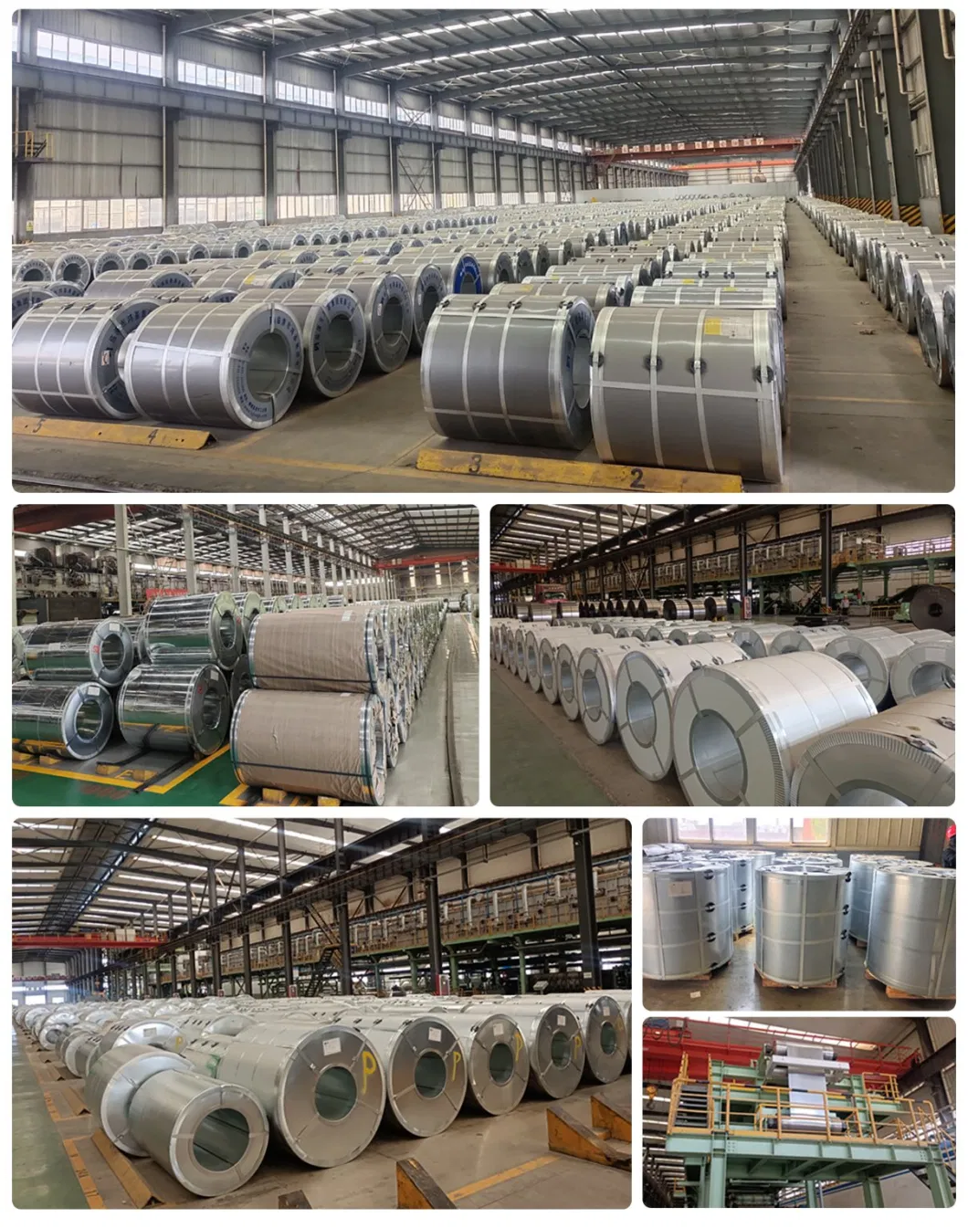 Dx51d Dx52D Z100 Z180 Z275 Prepainted Gi Steel Coil/ PPGI/ Color Coated Galvanized Steel Coil in Low Price High Quality Hot Dipped Galvanized Steel Coil/Sheet