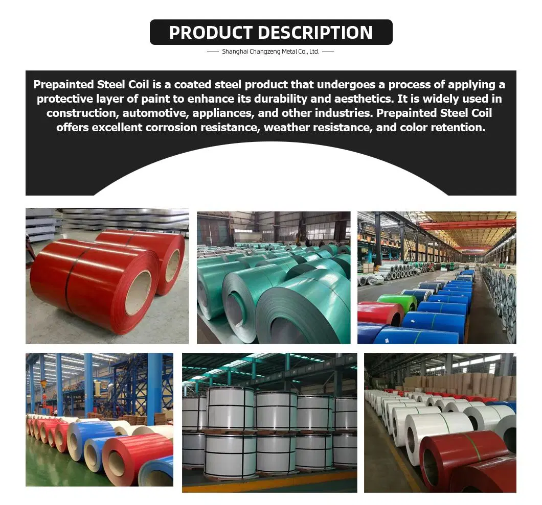Factory Iron and Steel PPGI Color Coated Galvanized Steel Coil