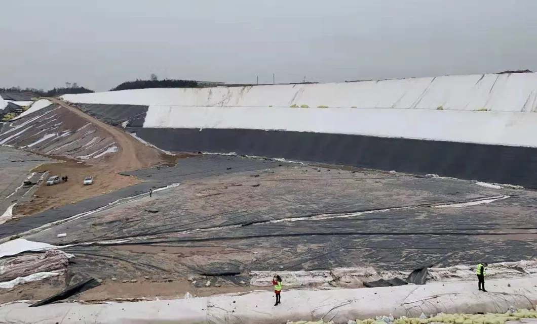 Gcl Geonet Geocomposite Geotextile HDPE Geomembrane for Pond Landfill Water Storage Tailings Mining Project
