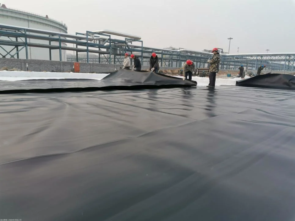 Building Material HDPE Smooth Film Geomembrane for Fish Pond