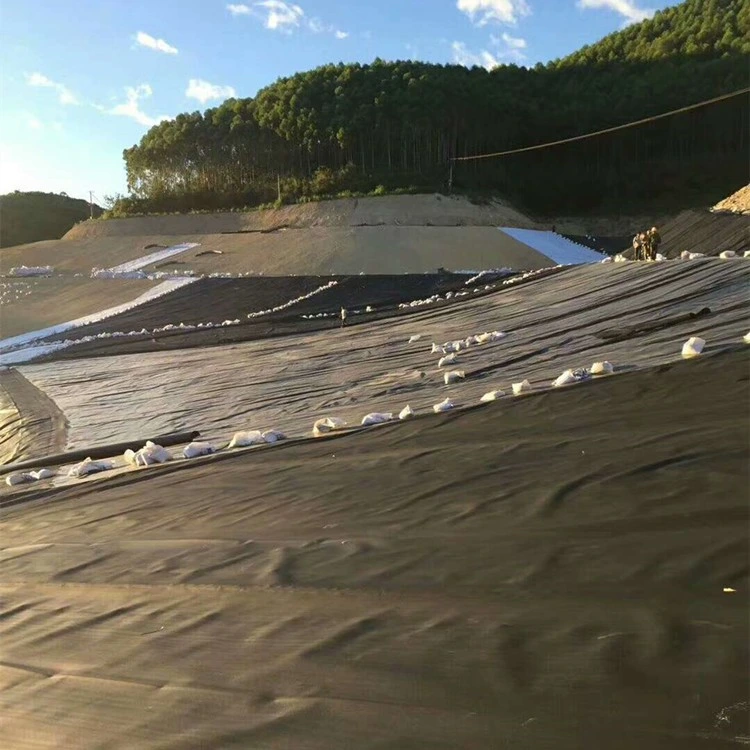 Composite Geomembrane with Single-Layer Geotextile or Double Layers