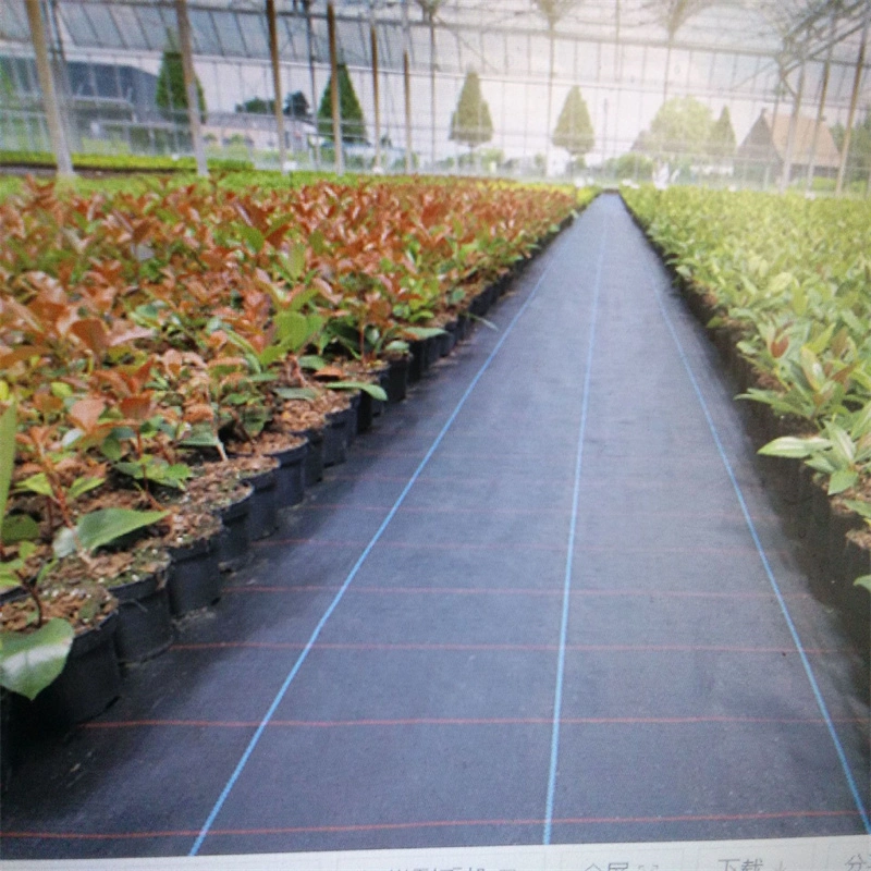 Anti-Grass Weeding Cloth Weed Contral Mat Barrier Cloth Agricultural Planting and Weeding