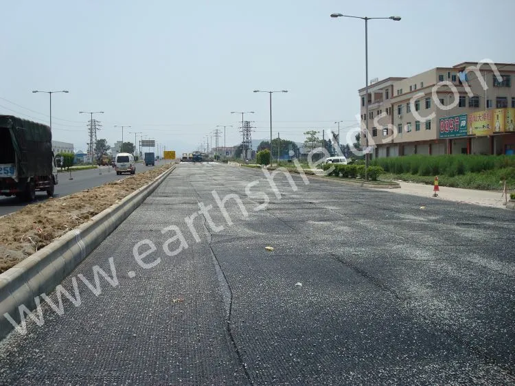 Polyester Geogrid Geogrid Retaining Wall Geogrid for Terminal Road Project