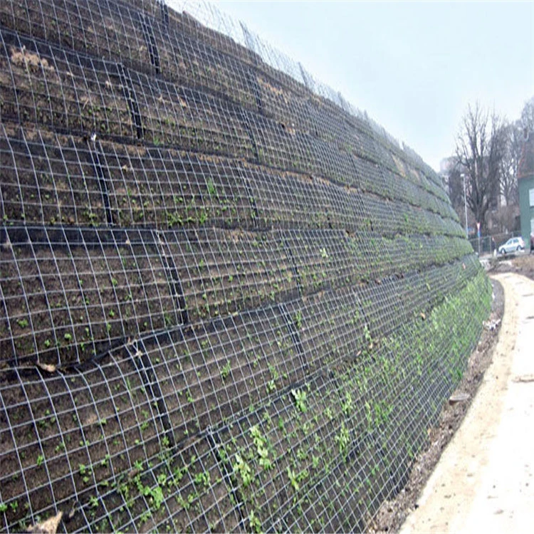China Manufacturer Plastic Geogrid Mesh for Parking Lots, Airport Runways, Embankments Reservoirs and Dams
