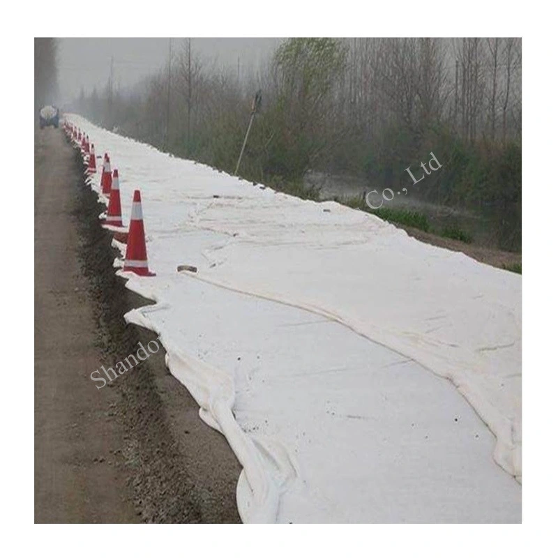 Pet Polyester Geotextile Nonwoven White Geo Textile for Reinforcement Filtration Separation