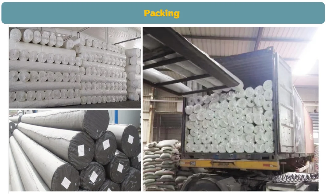 Wholesale High Quality China Factory Manufacturer Geotextile, Carving White Geotextile