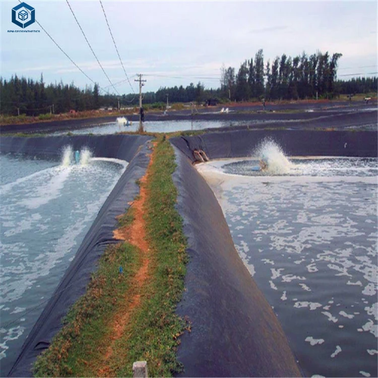 Geotechnical Fabric HDPE Geotech Geomembrane for Artificial Lake Project in Zambia