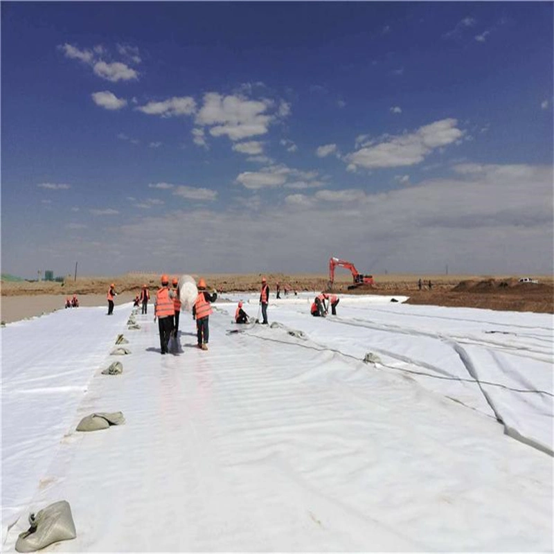 Geotextile Fabric Filament Polyester Geotextile Cost Per Square Foot for Construction in Chile