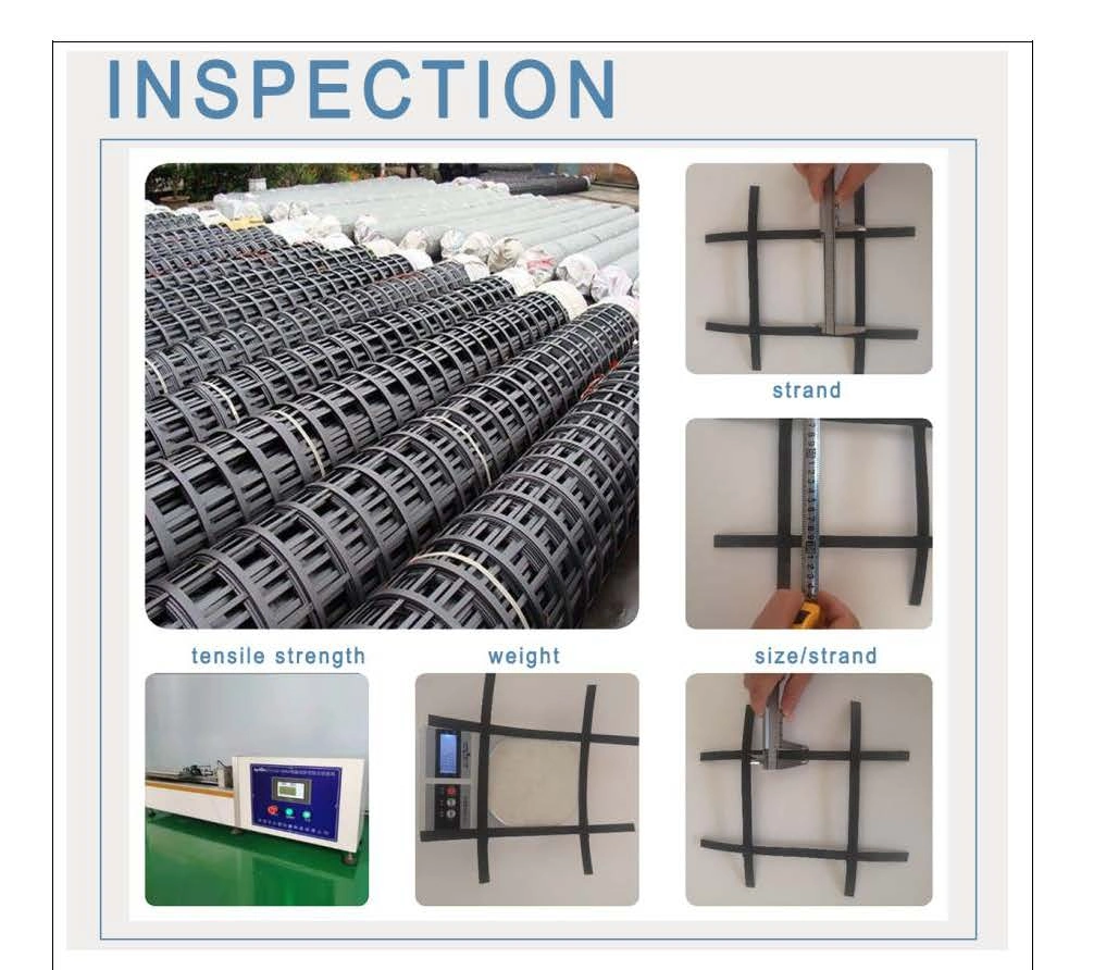 Chinese Geogrid Supplier Best Quality Slope Protect Steel Plastic Composite Welding Geogrid