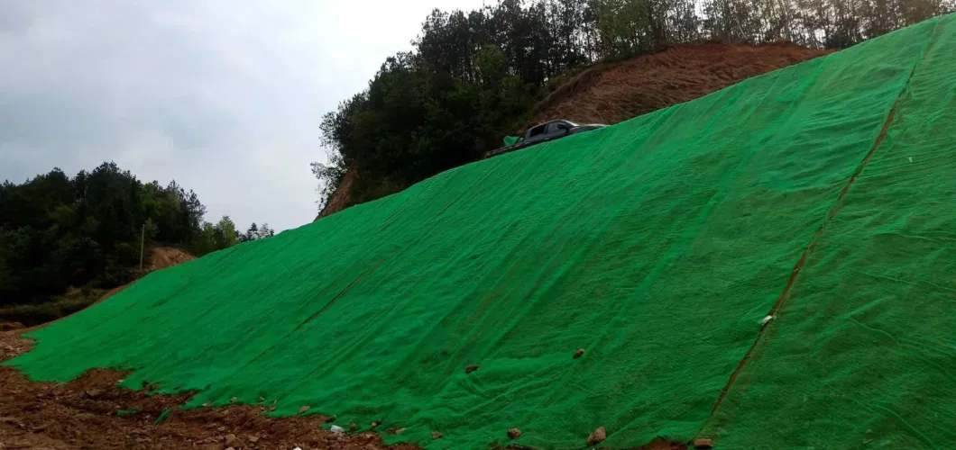 Plastic Geomat Polyamide PA6 Geomat 3D Geomat for Slope Protection
