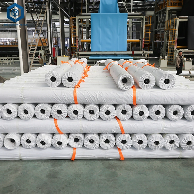 HDPE Geomembrane Manufacturer Waterproofing Plastic Sheet Liner for Fish Farm Tank