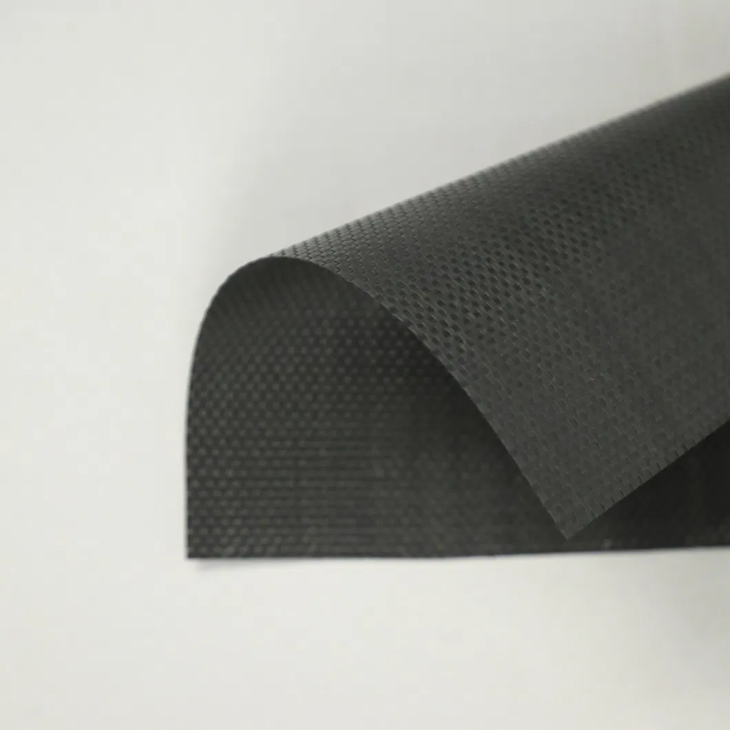 Factory Price Black White Polypropylene PP Woven Geotextile Factory