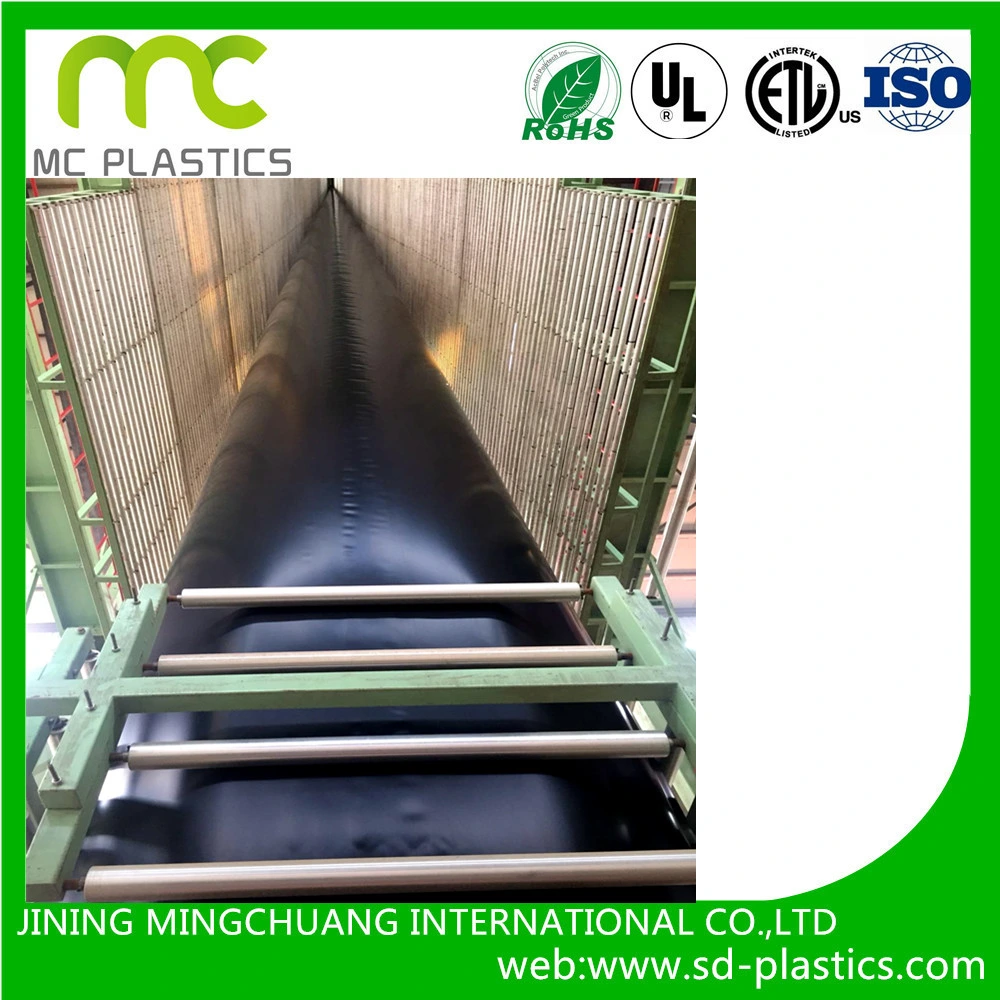 HDPE /LDPE /EVA Geomembrane 0.2mm-3mm Thickness Pond Liner