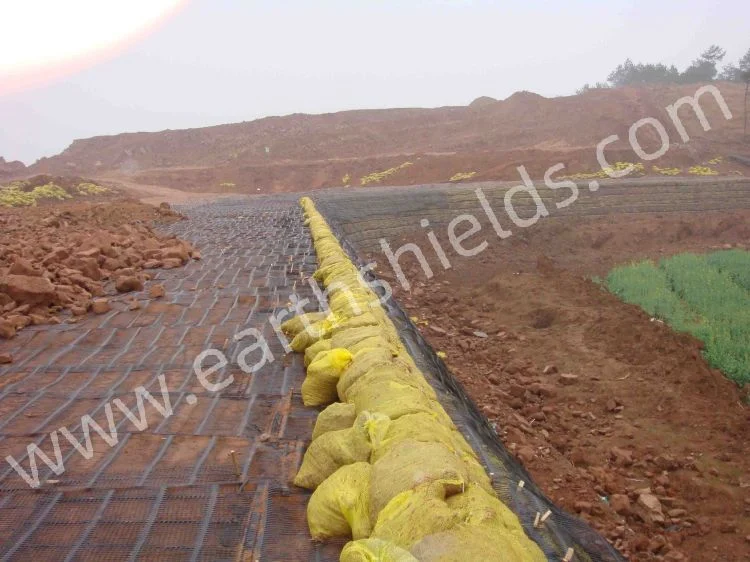 Steel Plastic Composite Geogrid Driveway Geogrid for Road Construction Geogrid Prices