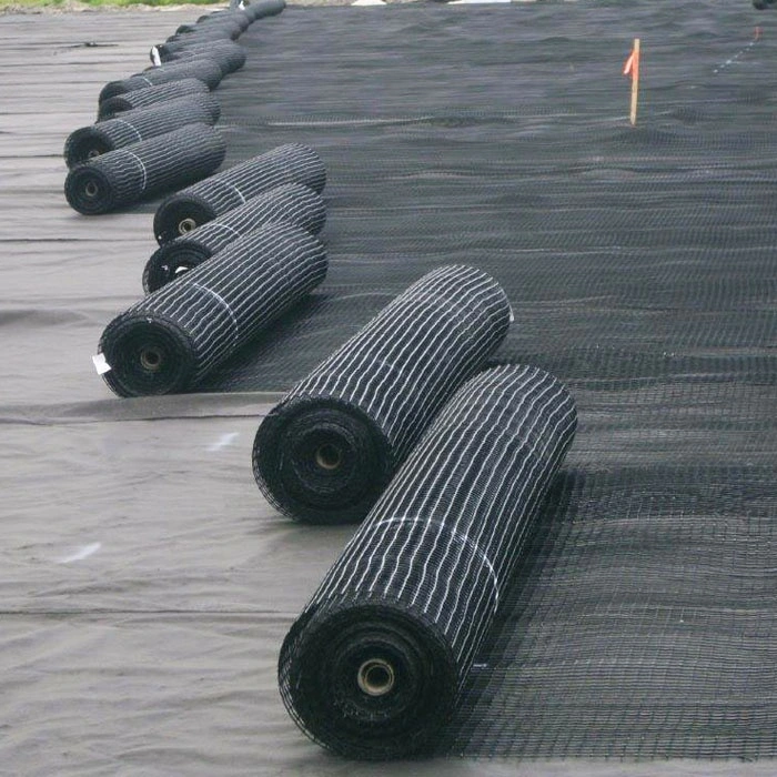 Road Construction Material PP Plastic Composite Geogrid Biaxial
