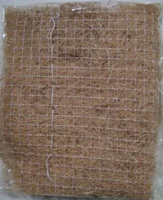 ASTM Standard Coir Geotextile for Slope Stabilization