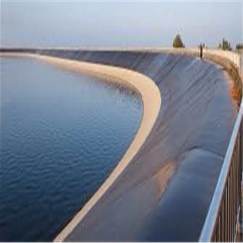 60mils HDPE Impermeable Geomembrane for Water Conservancy