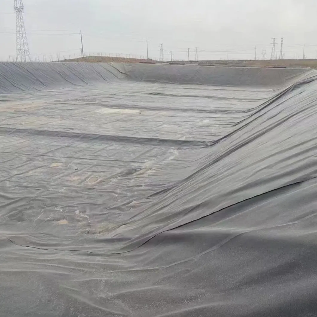 Black HDPE High Quality Geomembrane Manufacturer Price