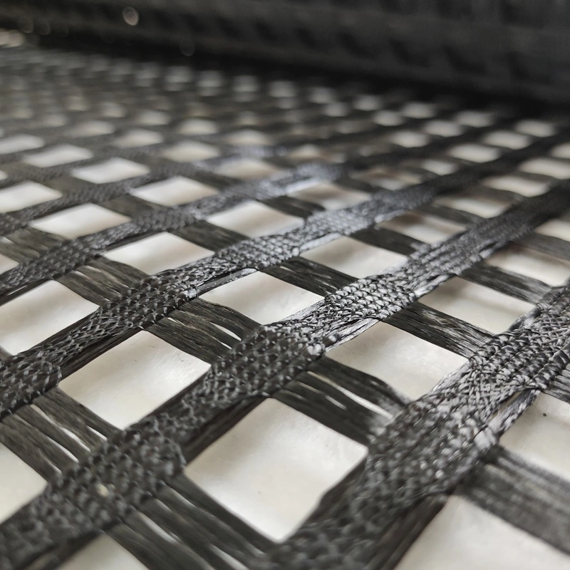 Black Road Construction Polyester Geogrid Price Mining High Strength Customized Reinforcement Protection