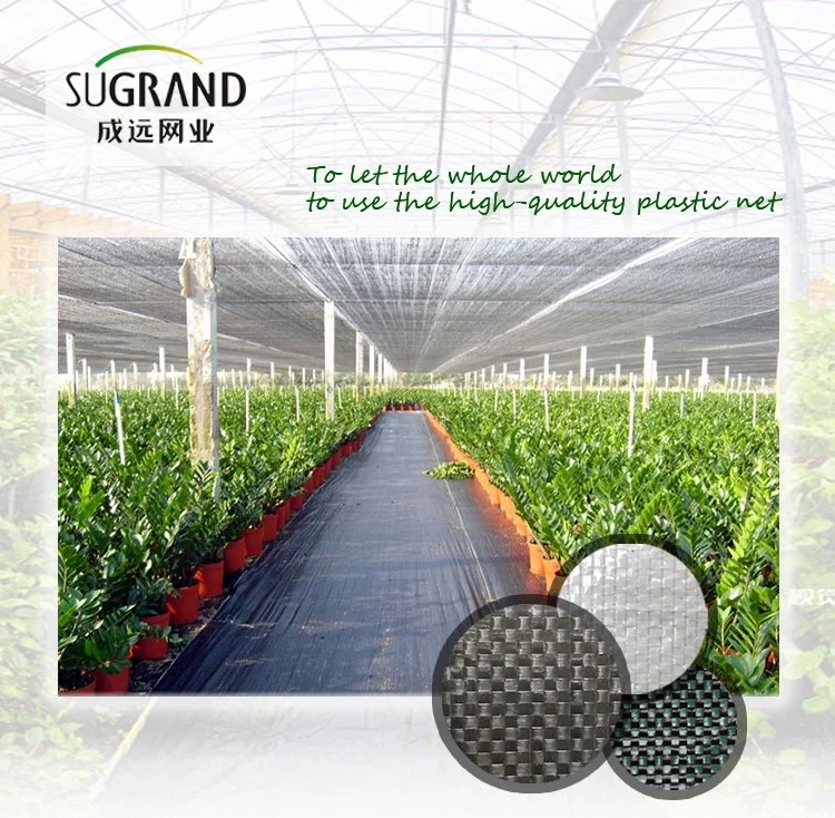 PP Woven Geotextile Anti Weed Matting Anti Weed Grass