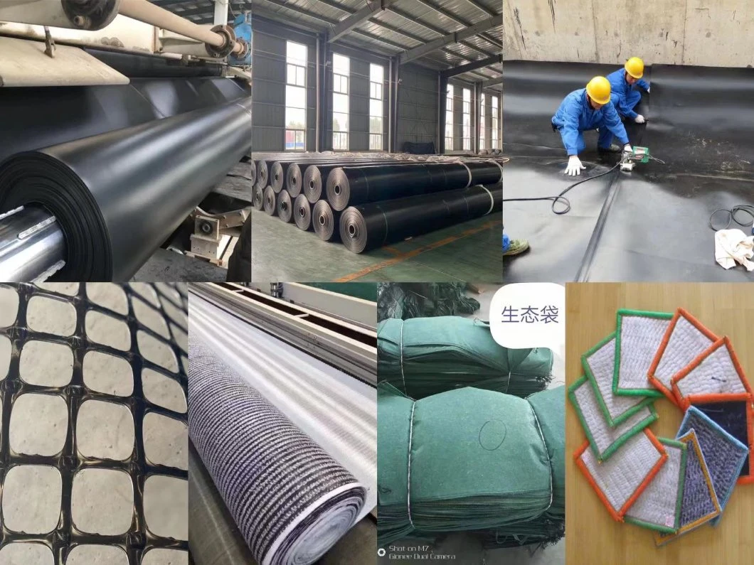 Width 1-6m Polymer High Strength and Bearing High Stability and Tensile Plastic Geogrid for Environment Project