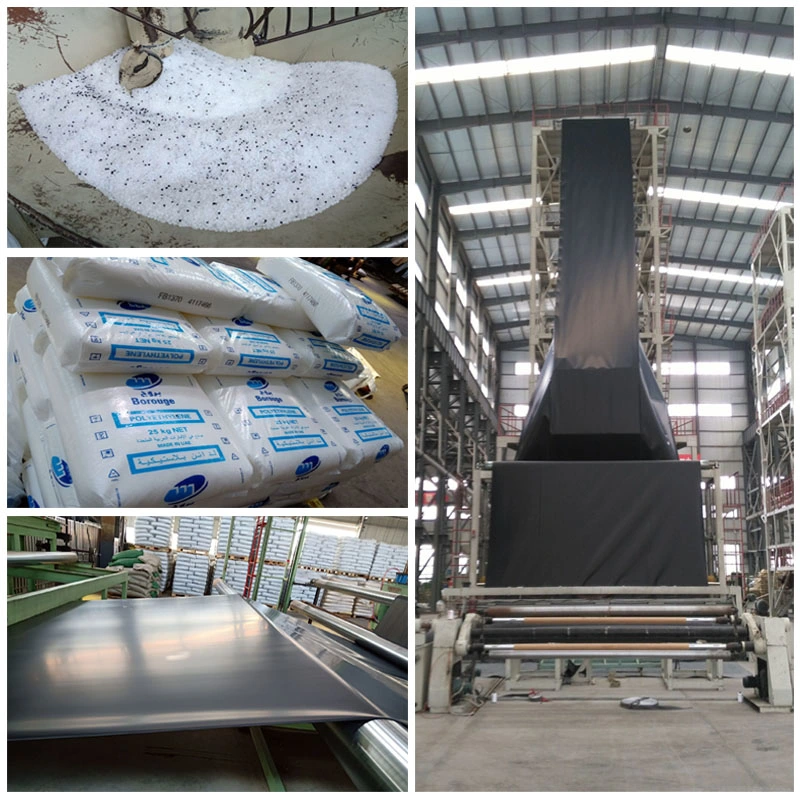 HDPE Geomembrane Liner with ASTM Standard for Swimming Pool Shrimp Pond