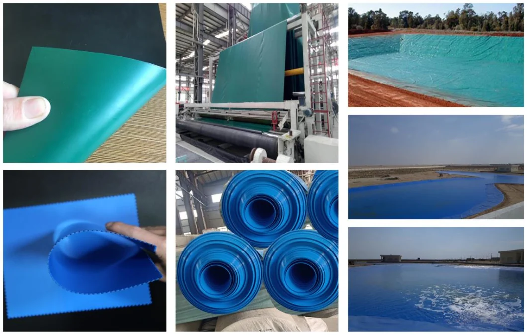 HDPE Geomembrane Liner with ASTM Standard for Swimming Pool Shrimp Pond