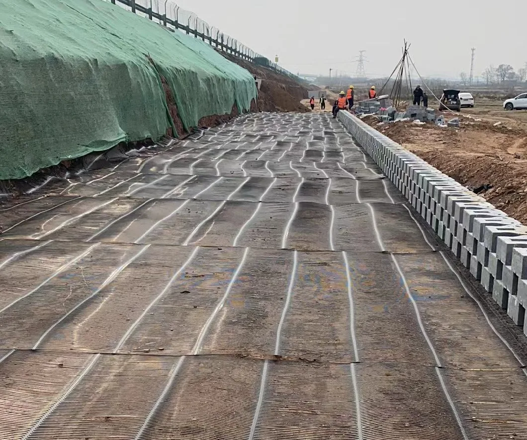 Chuangwan New Materials Uniaxial Geogrid Reinforcement Slops High Laying Angle Base