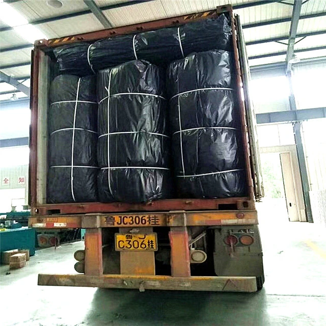 Grass Planting Plant Composite Protecting Layer Geocomposite Geotextile 3D Geomat for Drainage