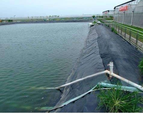HDPE Landfill Smooth Surface/Textured Geomembrane Manufacturer