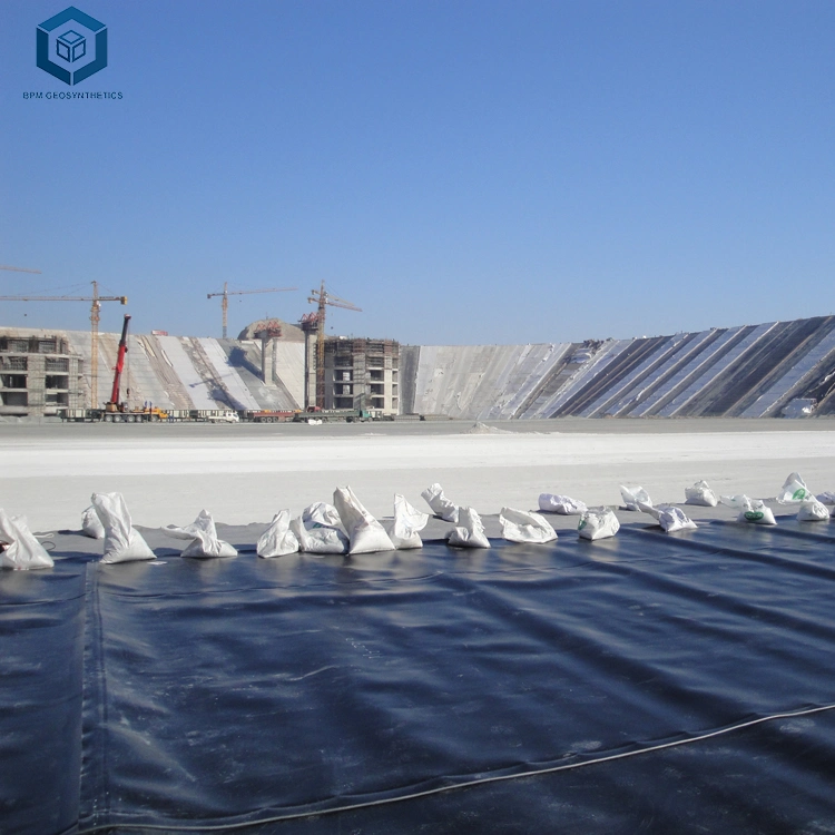 Geomembranas 60 Mils HDPE Geomembrane Sheet Price for Mining Project in Bolivia