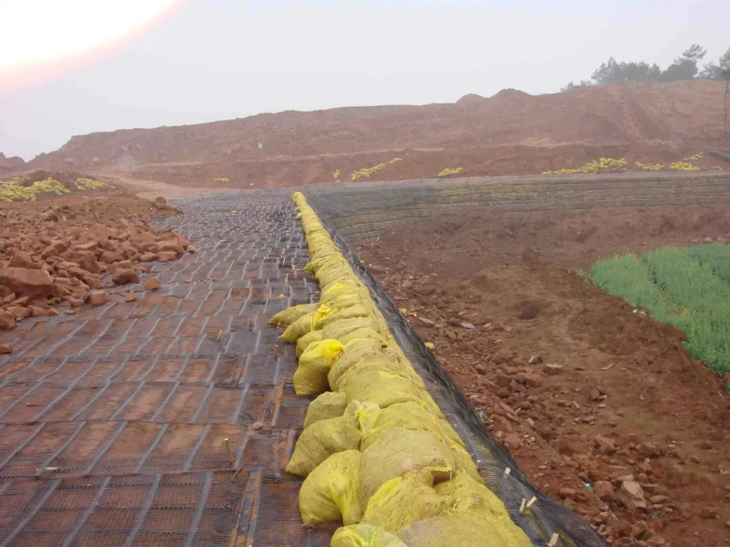 Chuangwan New Materials Uniaxial Geogrid Reinforcement Slops High Laying Angle Base