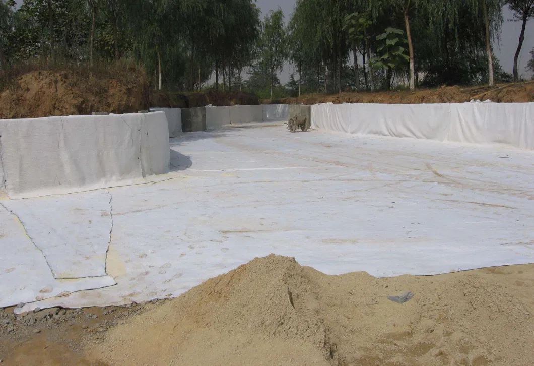 High Quality HDPE/LLDPE/PVC Waterproofing Geomembrane, Drainage Geocomposite