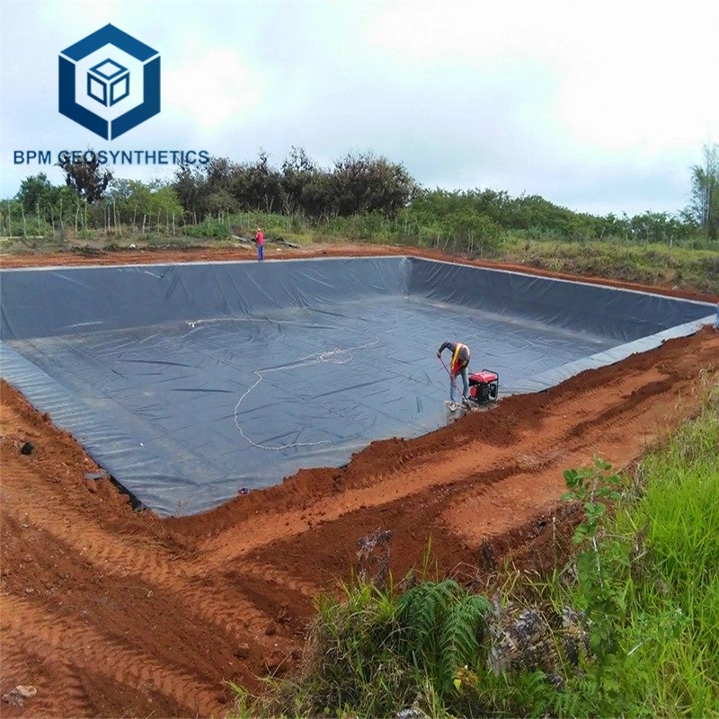 Harga Geomembrane HDPE Pond Liner for Shrimp Pond Project in Malaysia