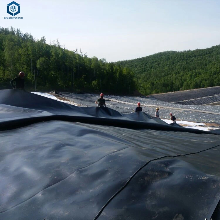 Harga Geomembrane HDPE Pond Liner for Shrimp Pond Project in Malaysia