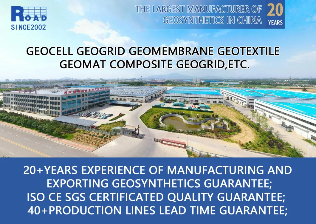 Manufacturer Geocomposite Geo Net Landfill Road Garden Drainage HDPE 3D Drainage Geonet Price