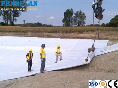 Geosynthetics Products High Quality Waterproof Bentonite Membrane Mat Geosynthetic Clay Liner