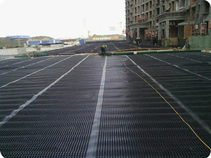 China Hot Sale HDPE Dimple Membrane Black Drainage Board