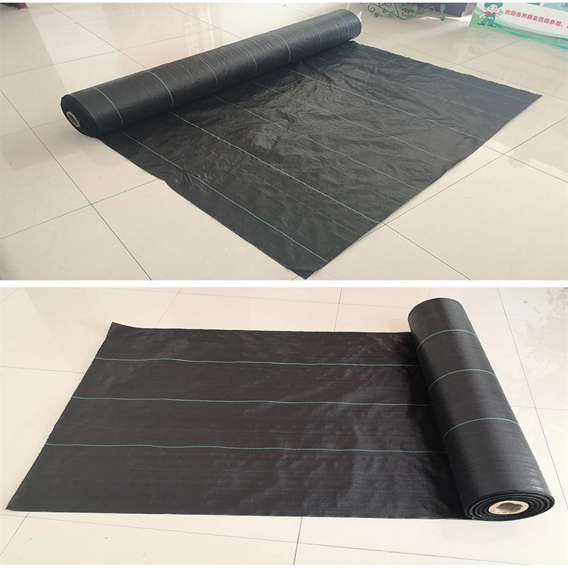 Degradable Black PP Weeding Cloth Is Suitable for Grape Planting