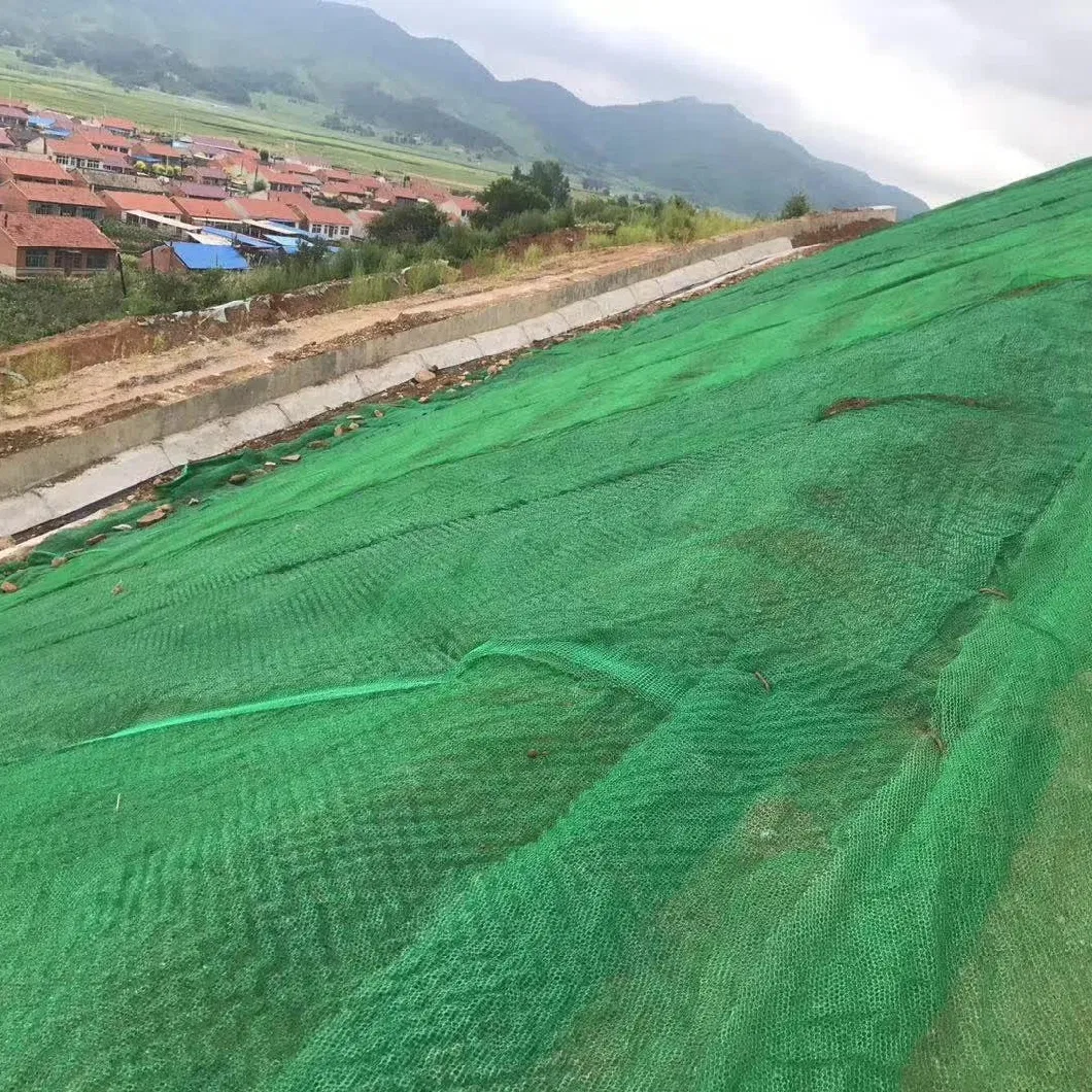 3D Geomat China Supply Geomat for Slope Protection Greening Grass Erosion Control Landscape