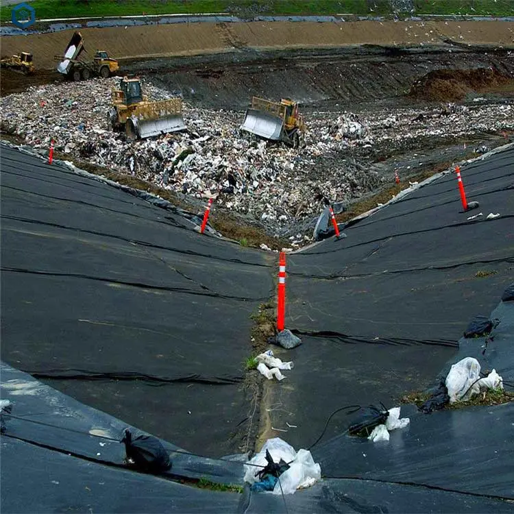 HDPE Channel Lining Geomembrane for River Embankment Project in Brazil