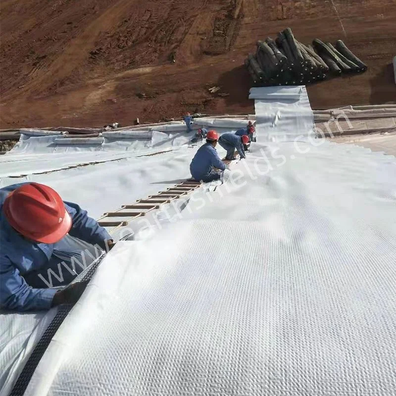 PP/Pet Non-Woven Geotextile 500G/M2 Filter Fabric for Retaining Wall